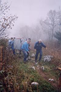 Relais de la Sure Relais de la Sure